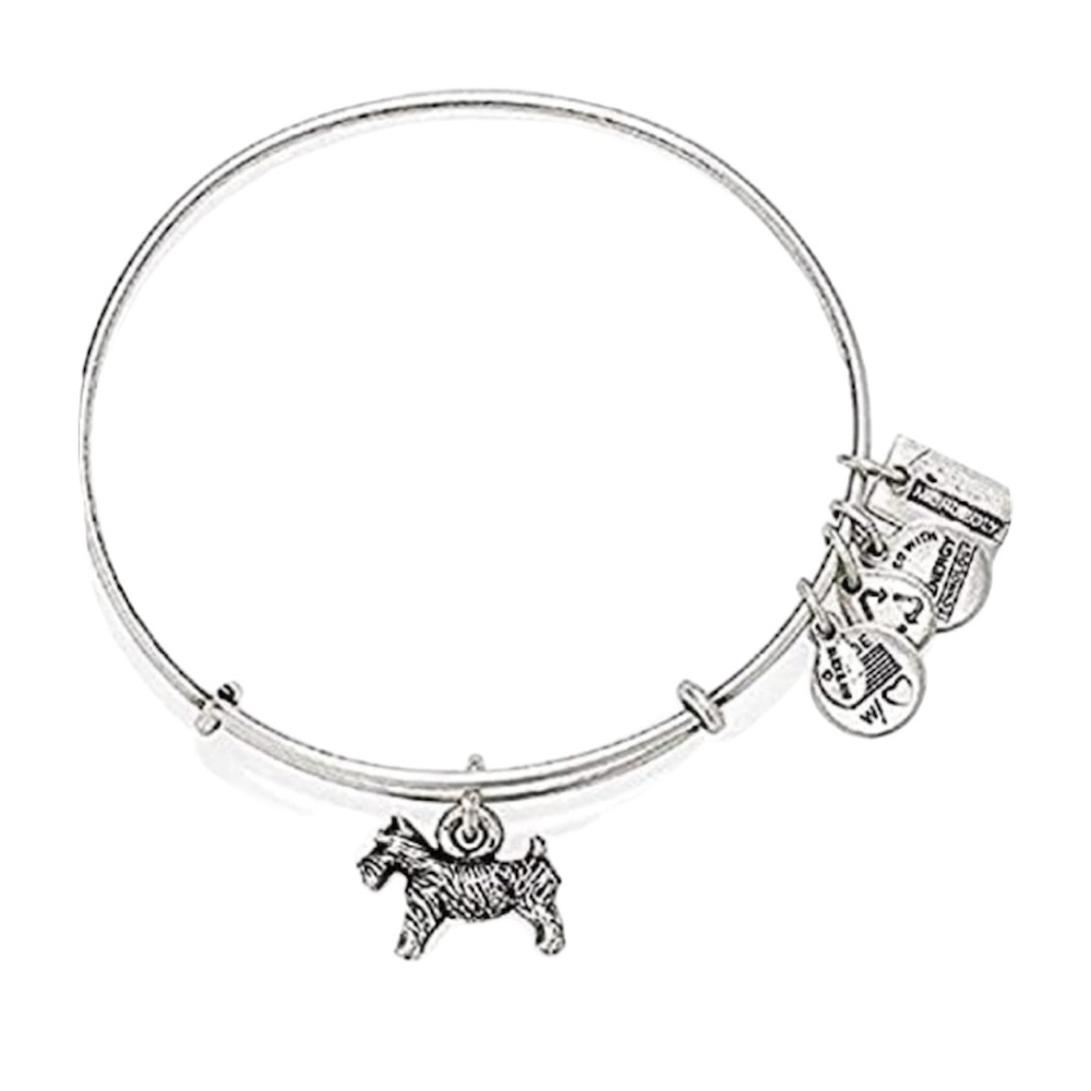 Alex and Ani MONOPOLY Dog Charm Bangle